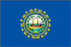 New Hampshire State Flag